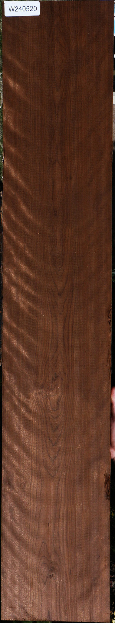 240520_1_3e9082c3-4672-4545-9b55-e96f8390fdbf Extra Fancy Curly Caramelized Birch Lumber - Image 1