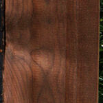 Caramelized Birch Lumber