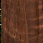Curly Caramelized Birch Lumber