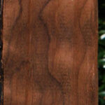 Curly Caramelized Birch Lumber