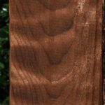 Extra Fancy Curly Caramelized Birch Lumber