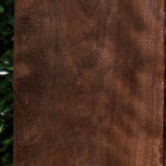 Extra Fancy Curly Caramelized Birch Lumber