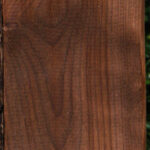 Curly Caramelized Birch Lumber
