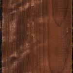 Curly Caramelized Birch Lumber
