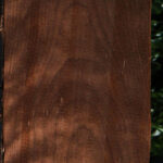 Curly Caramelized Birch Lumber