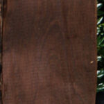 Curly Caramelized Birch Lumber