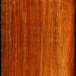 Muninga Turning Square