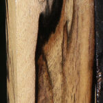 Black & White Ebony Lumber