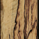 Exhibition Black & White Ebony Fingerboard