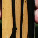 Black & White Ebony Lumber