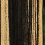 Black & White Ebony Micro Lumber