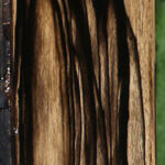 Black & White Ebony Micro Lumber