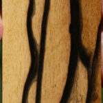 Black & White Ebony Micro Lumber