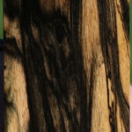 Black & White Ebony Micro Lumber