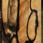 Exhibition Black & White Ebony Micro Lumber