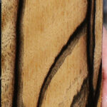 Exhibition Black & White Ebony Fingerboard