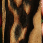 Black & White Ebony Turning Square