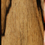 Black & White Ebony Lumber