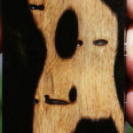 Black & White Ebony Lumber