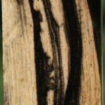 Black & White Ebony Turning Blank