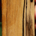 Black & White Ebony Turning Blank