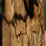 Black & White Ebony Lumber