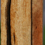 Black & White Ebony Turning Blank