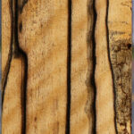 Extra Fancy  Black & White Ebony Fingerboard