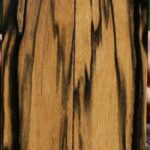 Black & White Ebony Bookmatched Knife Scales