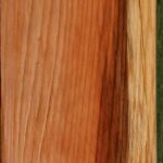 Redwood Slab