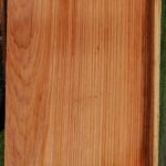 Redwood Slab