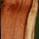 Redwood Live Edge Mini Slab
