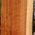 Redwood Live Edge Slab