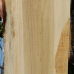 Black Cottonwood Live Edge Mini Slab