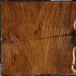 Russian Olive Bowl Blank