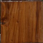 Russian Olive Bowl Blank