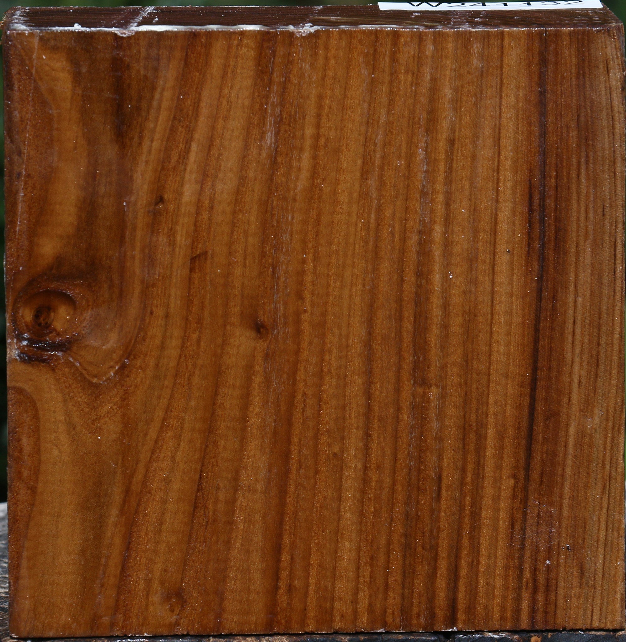 241132_1_e56184d6-bbc9-42d9-88c9-0f24f851cf3d Russian Olive Bowl Blank - Image 1