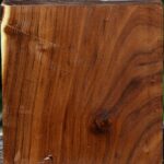 Russian Olive Bowl Blank