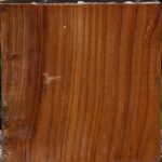 Russian Olive Bowl Blank