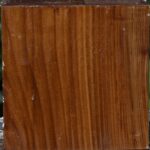 Russian Olive Bowl Blank