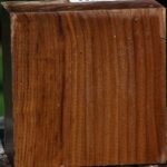 Russian Olive Bowl Blank