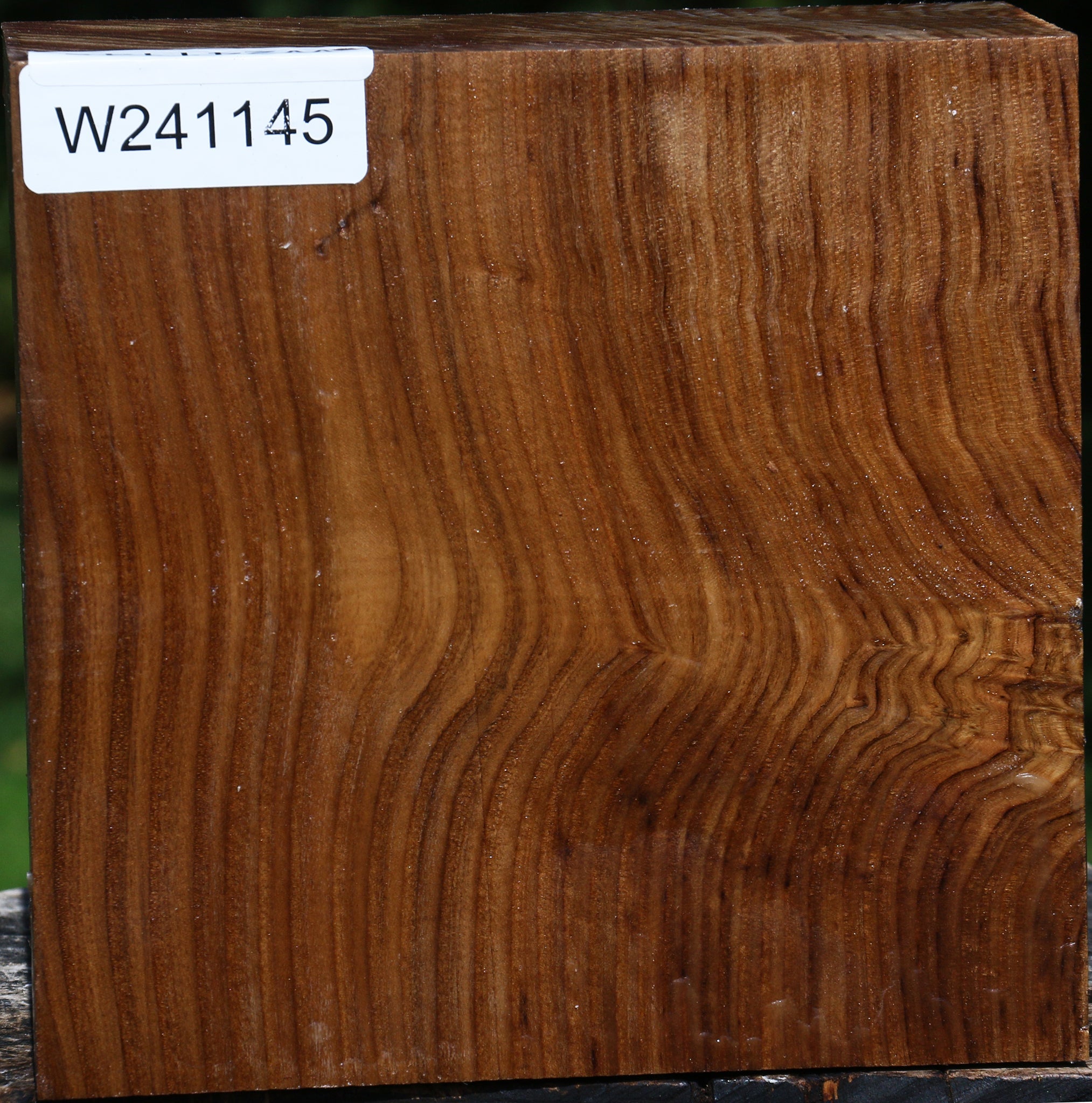 241145_1_49523a47-961f-4b40-8d8d-9644f8858183 Russian Olive Bowl Blank - Image 1