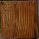 Russian Olive Bowl Blank