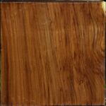 Russian Olive Bowl Blank