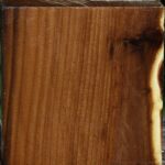 Russian Olive Bowl Blank