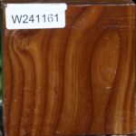 Russian Olive Bowl Blank