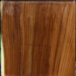 Russian Olive Bowl Blank