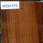 Russian Olive Bowl Blank