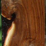 Russian Olive Peppermill