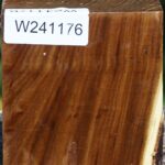 Russian Olive Bowl Blank